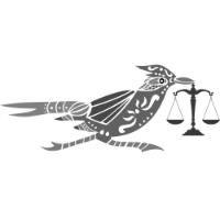 Roadrunner Law Firm Injury Lawyers